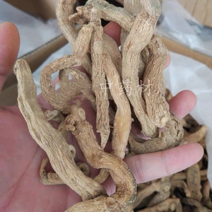 起阳草 野生中草药 中药材 药酒料 药材泡酒料 正品干品 500g包邮