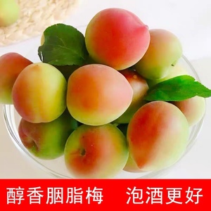 现摘5斤诏安胭脂梅青梅果新鲜大果红梅泡酒酵素孕妇酸水果包邮