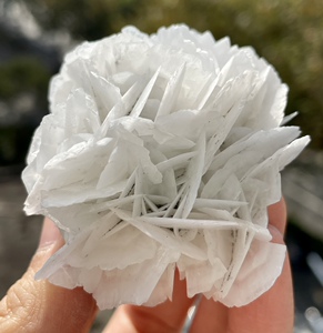 包邮不会凋谢的玫瑰花 白色方解石原石 美国矿物晶体标本收藏摆件