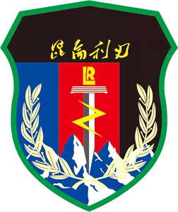 特价秒杀户外迷彩服套装男军训野战军迷新款臂章设计制作定金拍