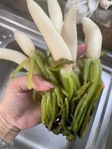 小曼家广西特产酸萝卜菜5斤包邮