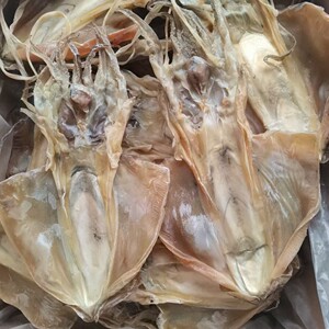 福建本港自晒墨鱼干鱿鱼母大只500克