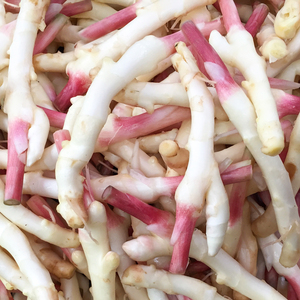 嫩仔姜新鲜子姜芽四川指头姜生姜5斤非云南小黄姜泡老醋鲜姜3蔬菜