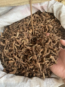 野生中药材山麒麟 红药500g干品包邮铁打药 泡酒材料新品