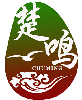 chuming 楚鸣吉他/41寸cmy173eq 云杉/斑马木 五段液晶电箱吉他