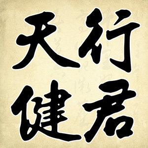 天行健君玩具专营店