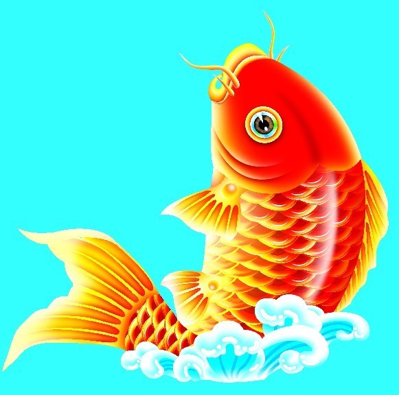 彩色鲤鱼吃小鱼