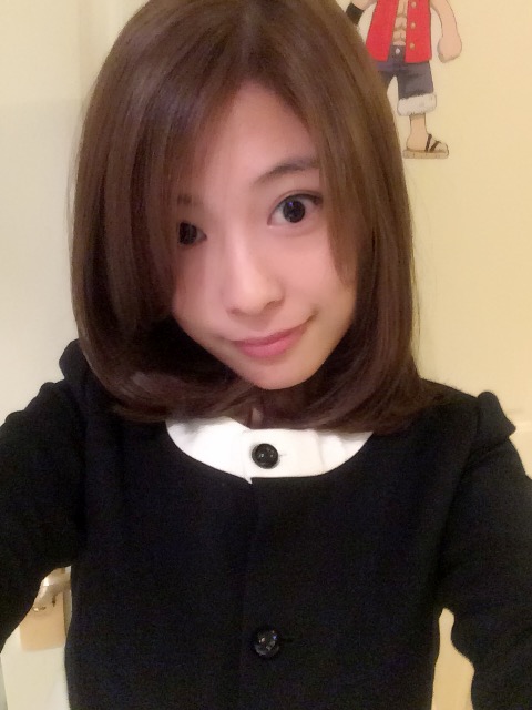 flyingfish宠物用品