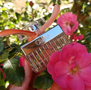 2021年新款 chloe rose tangerine 寇依玫瑰柑橘 75ml淡香水