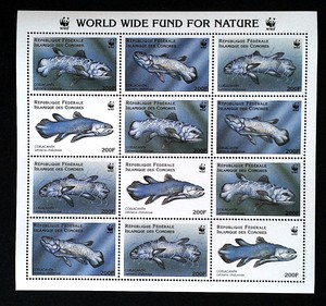 外国邮票 科摩罗1998鱼WWF版张MNH