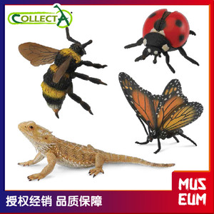 模赞正版collecta我你他仿真昆虫爬行玩具瓢虫大黄蜂蜜蜂蜥蜴蝴蝶