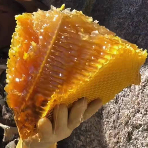 云南崖蜜野生岩蜂蜜傈僳族悬崖蜂蜜 深山纯正天然百花蜜土蜂蜜