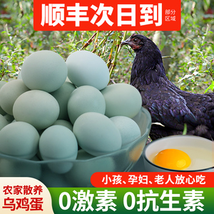 乌鸡蛋新鲜绿皮初生蛋正宗农家散养农村虫草笨鸡蛋40枚绿壳土鸡蛋