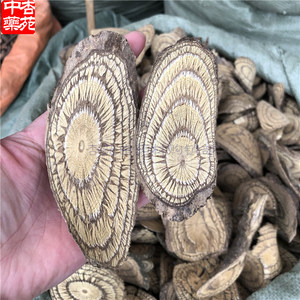 麻骨风中药