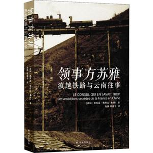 领事方苏雅 滇越铁路与云南往事 (法)德西雷·勒努瓦 译林出版社 正版书籍 新华书店旗舰店文轩官网