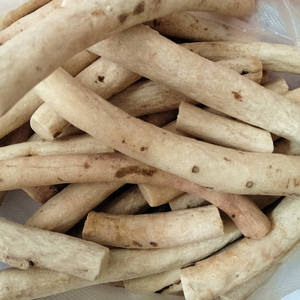 一见起中药中药材