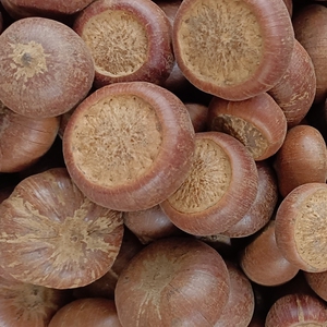 山马蹄果 益 肾果晒干货 云南省食用农产品 泡酒料500克 件