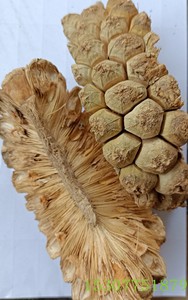 中药材山菠萝大果切片 露兜子 野菠萝 晒干 海南食用农产品500克