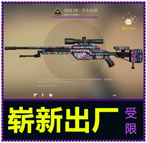 csgo皮肤鸟狙