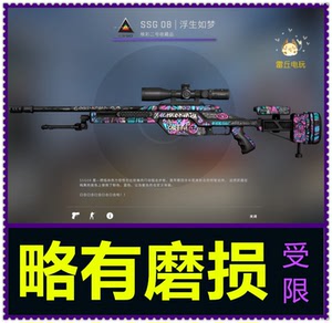 csgo鸟狙皮肤