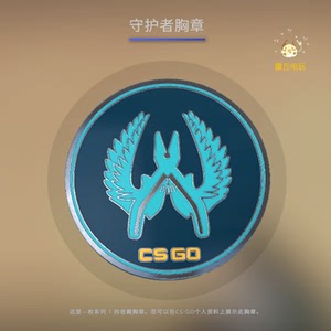 csgo 胸章 皮肤 守护者胸章 资料展示 收藏品 装饰 比分页面