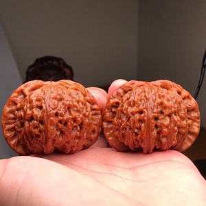 49超大闷尖白狮子头精品包浆极其少见的大尺寸