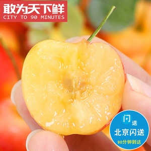1.8斤 仅限北京闪送 大连佳红 黄樱桃 国产樱桃的巅峰 清新 脆甜