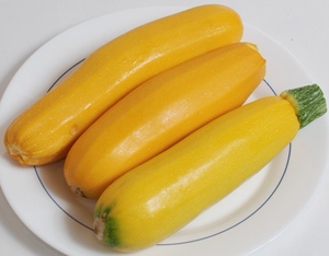 黄节瓜意黄瓜黄色西葫芦西葫芦20元一斤