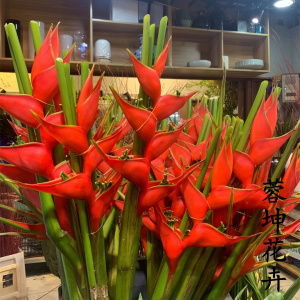 大红鸟富贵鸟上海直发家用插鲜切枝条鲜花速递同城情人节教师节