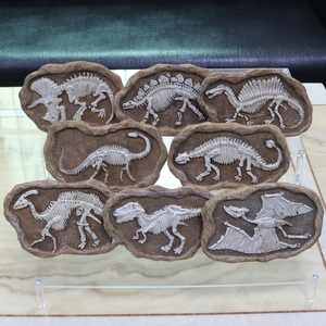 恐龙的骨头的玩具