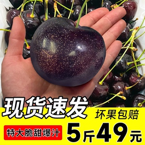 黑布林新鲜10斤