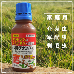 日本进口介壳虫军配虫多肉杜鹃住友化学园艺