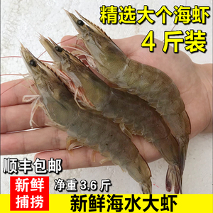 新鲜野生对虾鲜活基围虾海捕大虾活虾青虾明虾大海虾海鲜水产包邮