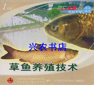 草鱼养殖技术2光盘视频书籍草鱼苗繁殖病防治池塘养草鱼管理教程
