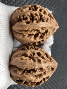 东北野生秋子楸子文玩核桃血灯笼楸八棱编号350