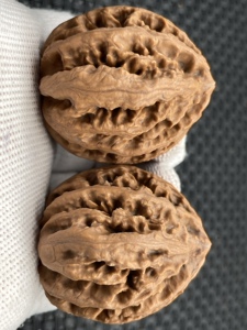 秋子楸子野生文玩核桃名品楸八棱血灯笼蜡皮皮质牛筋红编号353