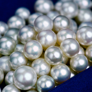 paspaley海水南洋珍珠澳白珠深海大珍珠大澳白极强光定制裸珠