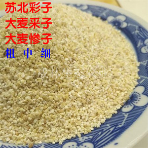 苏北特产大麦采子大麦糁大麦彩子500g麦片五谷杂粮去麸大麦煮粥吃