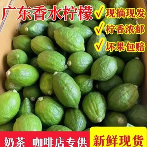 广东香水柠檬精选一级果咖啡奶茶店专用新鲜现摘现发无籽香水柠檬