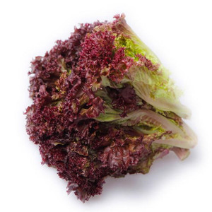 罗莎红生菜-淘宝拼多多热销罗莎红生菜货源拿货 - 阿里巴巴货源