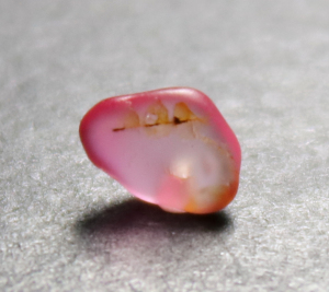 帕帕拉恰原石 帕德玛蓝宝石原石 莲花刚玉标本 矿标 天然无烧 c14