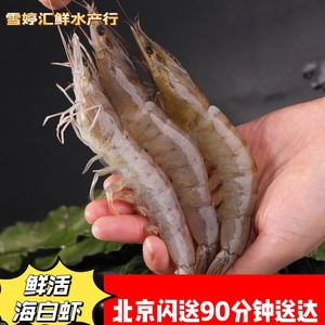 北京闪送500g 鲜活海白虾海鲜 水产 明虾 对虾 非基围虾大个活虾