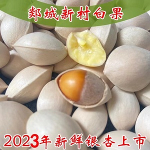 2023年银杏果食用白果新鲜特级白果干果带壳无漂白徐州邳州特产