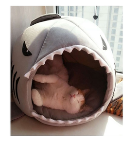 猫窝大鲨鱼
