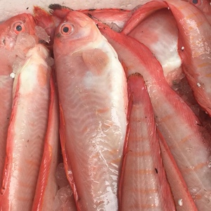 海产品鲜活海鲜