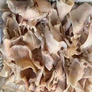 东北筋皮烧烤杂筋牛隔膜筋牛筋亮筋500克3斤包邮半成品烧烤食材