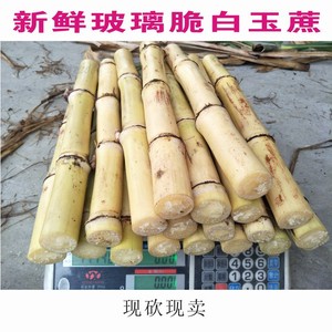 玻璃脆白玉蔗新鲜土特产水果蔗广西贵港木格甘蔗现砍现发孕妇爱吃