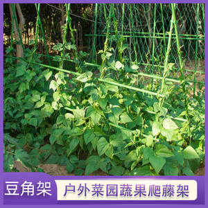 豆角架黄瓜架四季豆爬藤支撑架菜园菜架子种菜种植蔬菜架杆搭支架