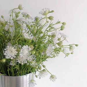 翠珠鲜花花期长花束配花清新家庭办公室插花水养广州速递全国包邮