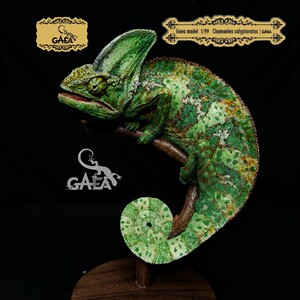 原创高冠变色龙白模gk模型涂装成品手办动物模型动物爬宠模玩潮玩